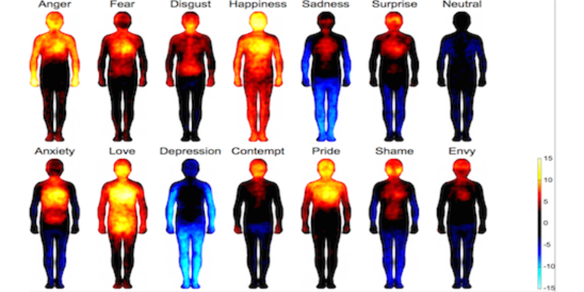 Emotions-in-body-sito-Share