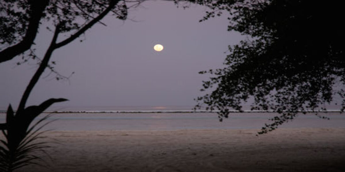 Img_2006-04-13_142426