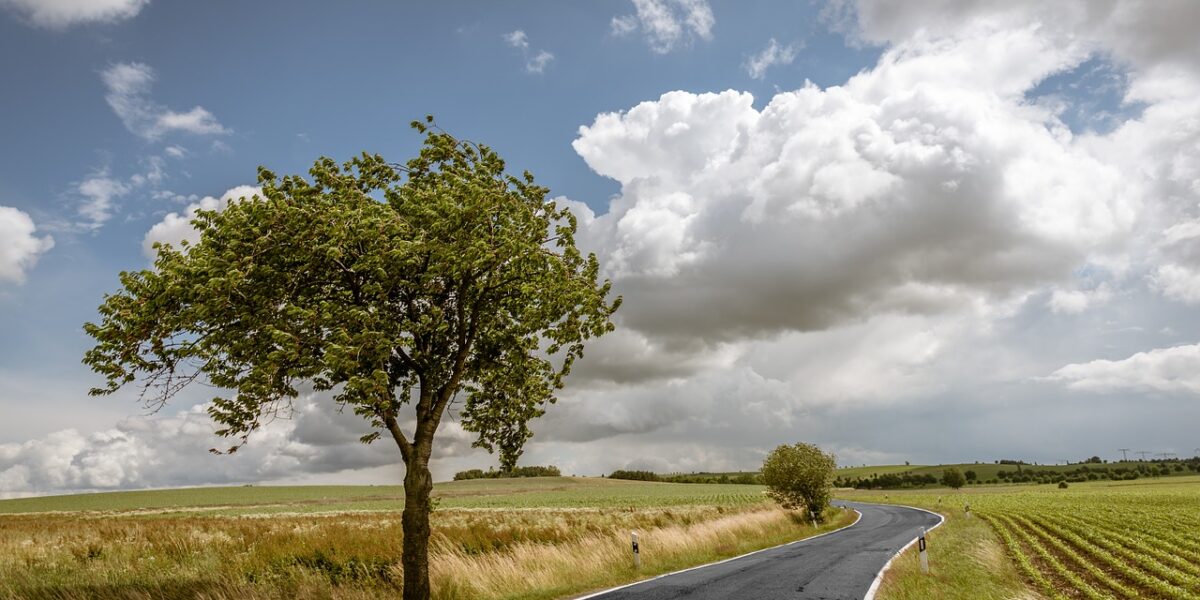 road-863369_1280 (1)